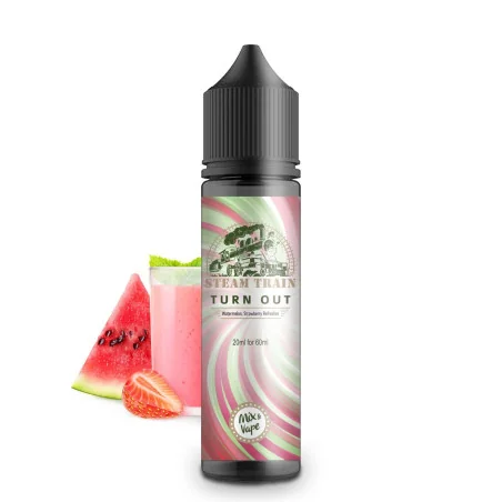Steam Train Turn Out 20ml/60ml