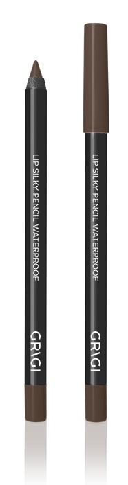 Grigi Waterproof Lip Silky Pencil No 40 Frosted Brown
